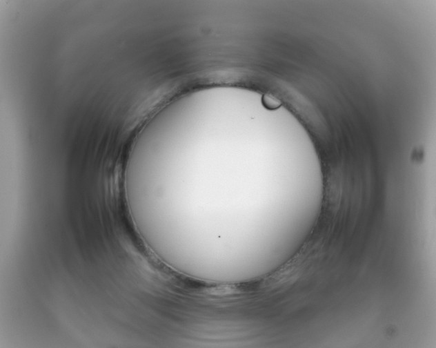 X0000092210118200709140909