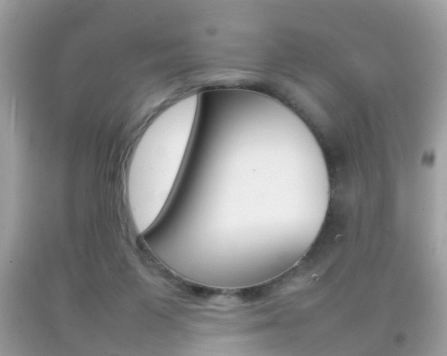 X0000092210119200709140909