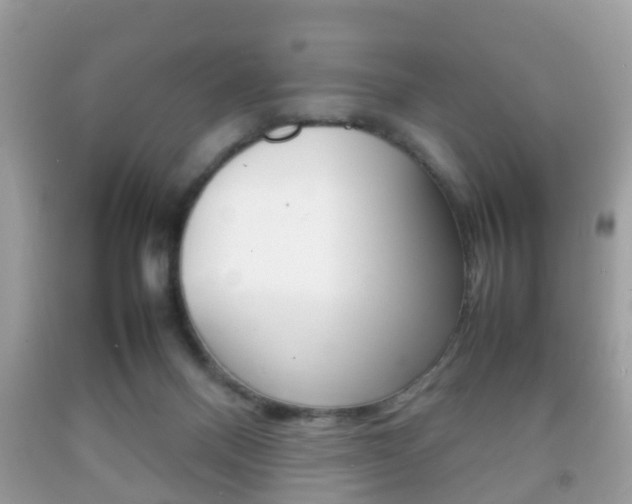 X0000092210120200709140909