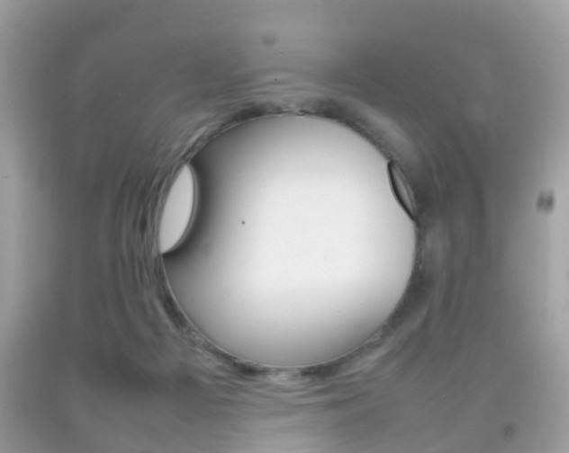 X0000092210121200709140909