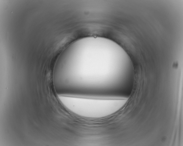 X0000092210123200709140909