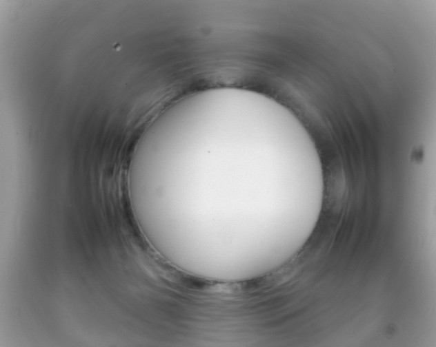 X0000092210126200709140909