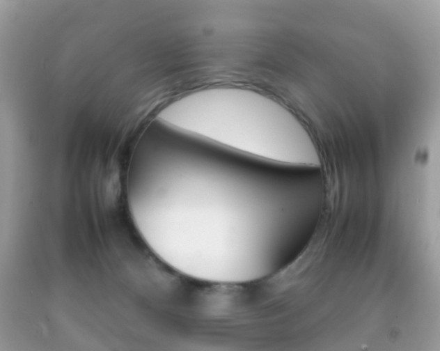 X0000092210128200709140909