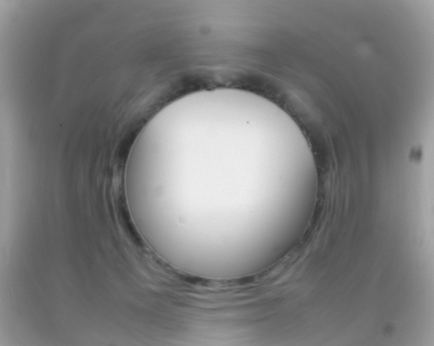 X0000092210129200709140909