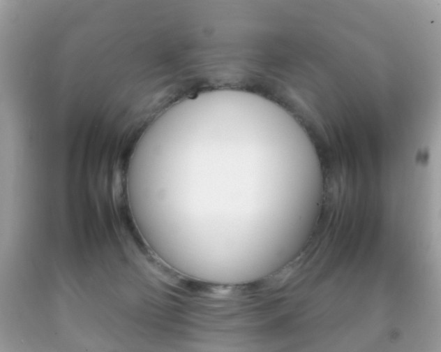 X0000092210130200709140909