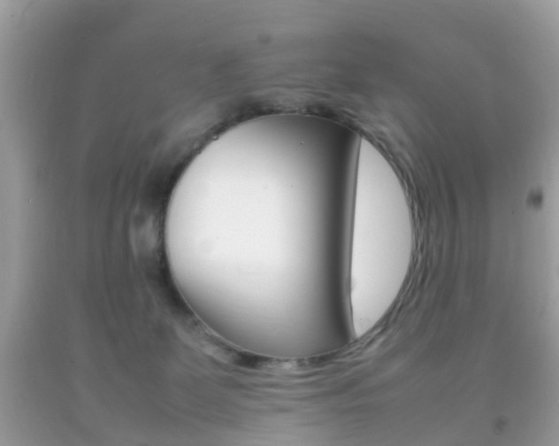 X0000092210131200709140909