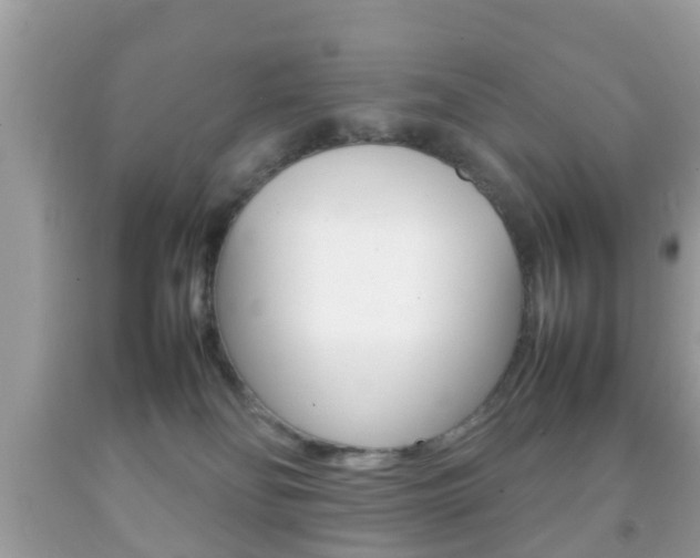 X0000092210134200709140909