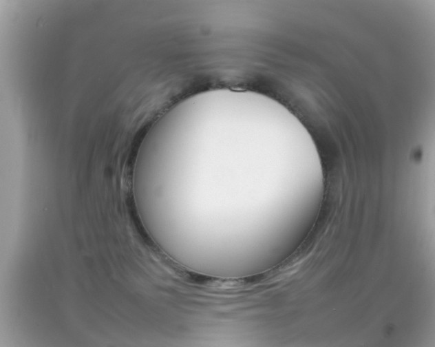 X0000092210135200709140909