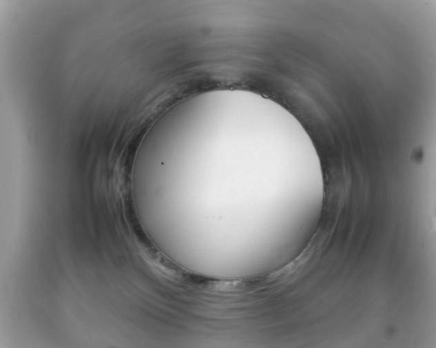 X0000092210136200709140909