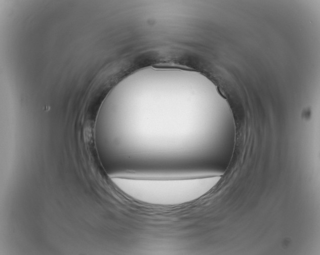 X0000092210137200709140909