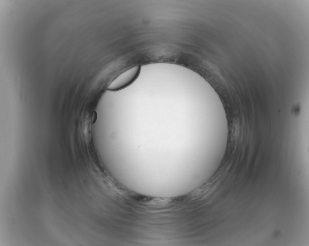X0000092210138200709140909