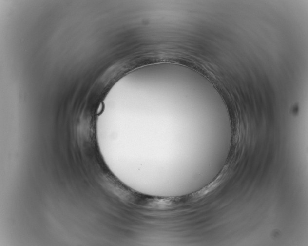 X0000092210140200709140909