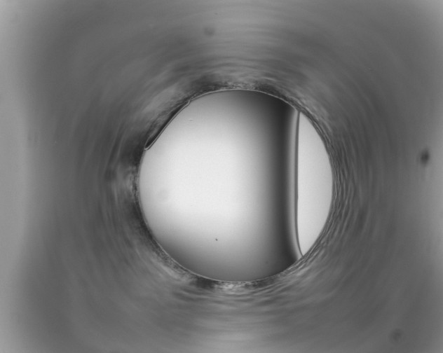 X0000092210141200709140909