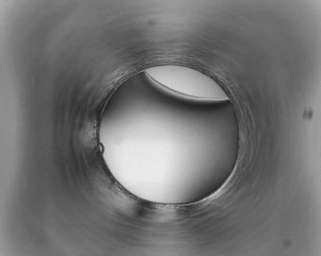 X0000092210144200709140909