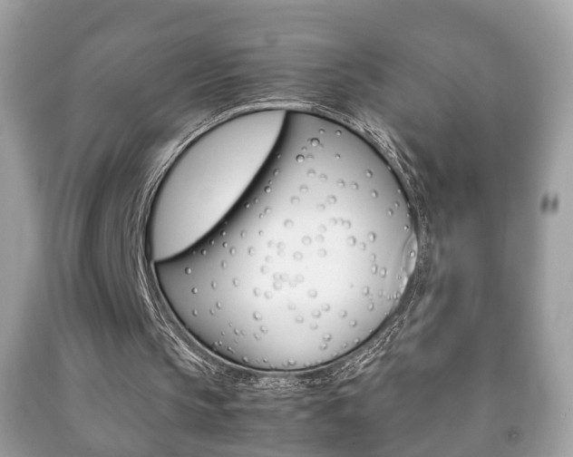 X0000092210145200709140908