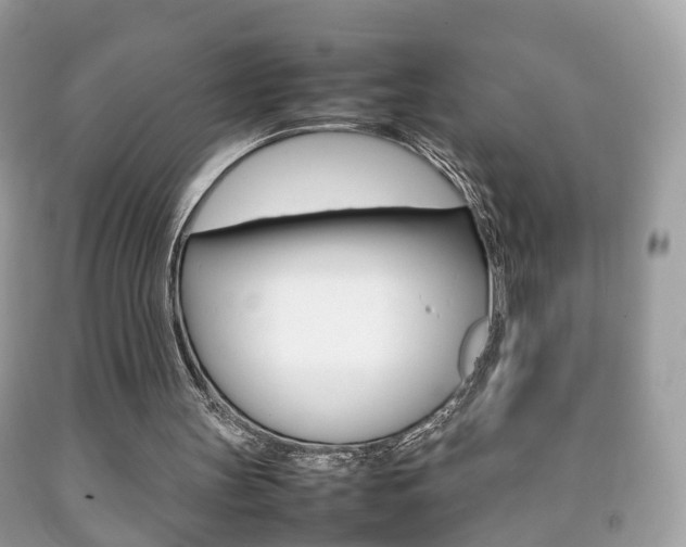 X0000092210147200709140908