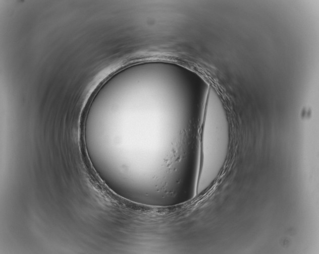 X0000092210148200709140908