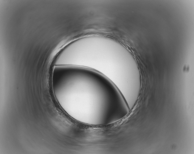 X0000092210150200709140908
