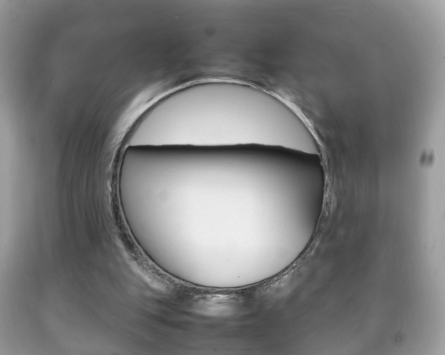 X0000092210151200709140908