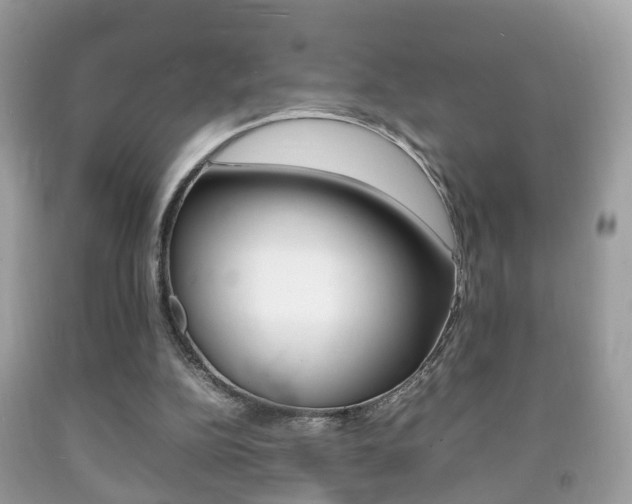 X0000092210152200709140908