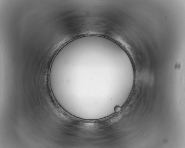 X0000092210153200709140908
