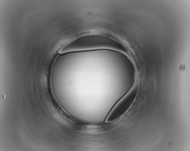 X0000092210154200709140908