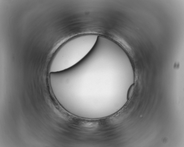 X0000092210155200709140908