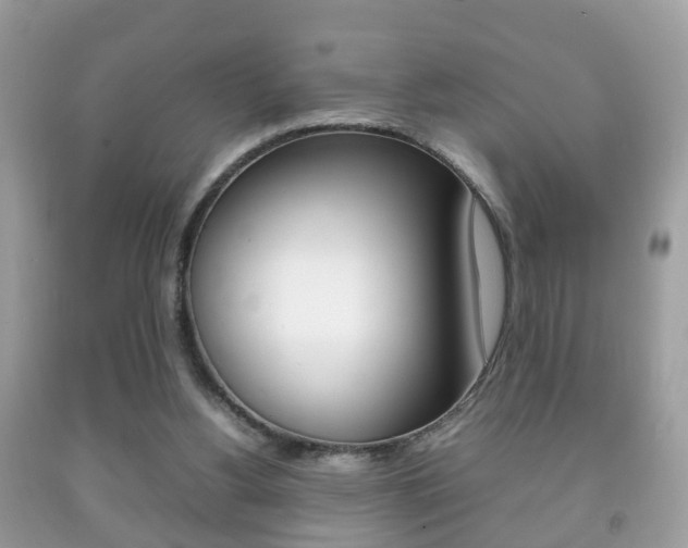 X0000092210156200709140908