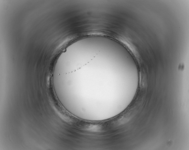 X0000092210157200709140908