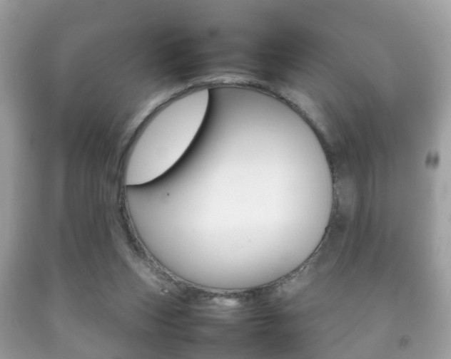 X0000092210159200709140908