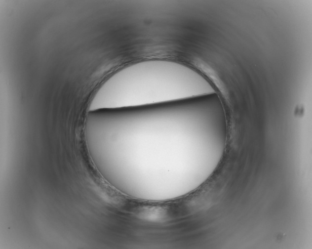 X0000092210161200709140908