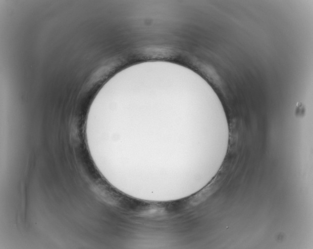 X0000092210162200709140908