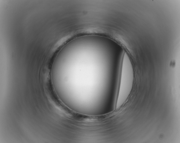 X0000092210164200709140908