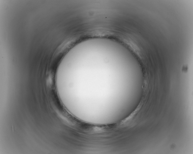 X0000092210166200709140908