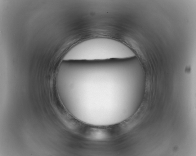 X0000092210167200709140908