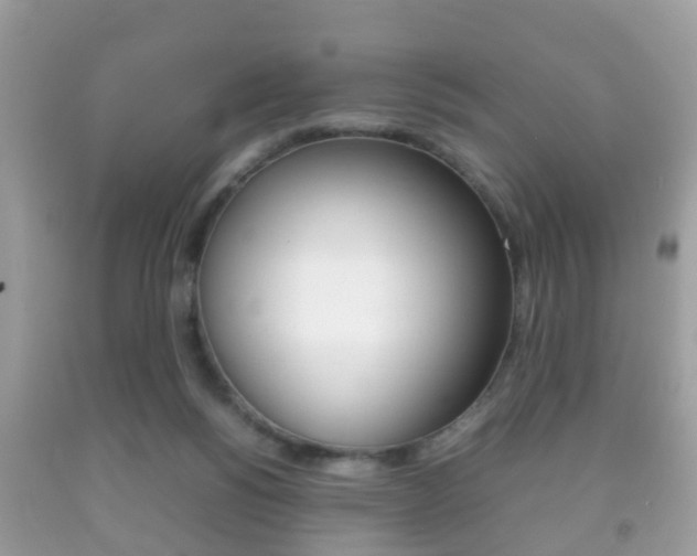 X0000092210168200709140908
