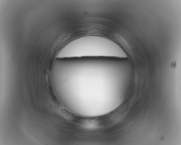 X0000092210169200709140908