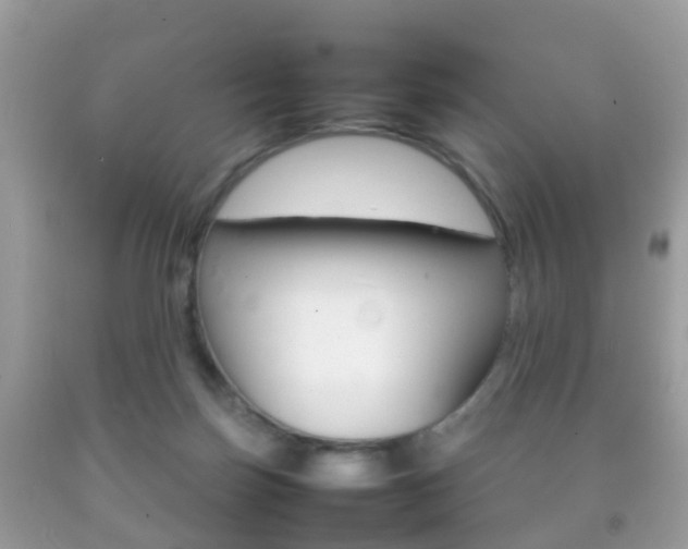 X0000092210171200709140908