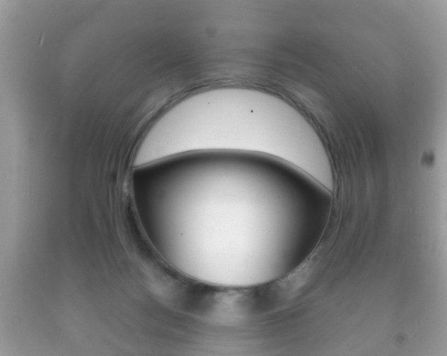 X0000092210172200709140908