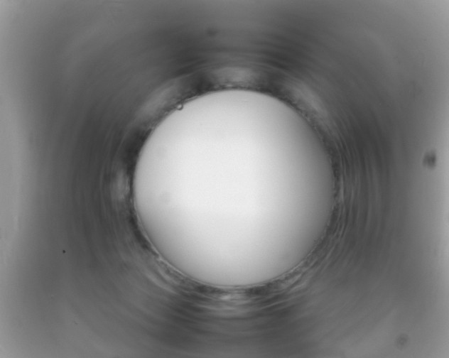 X0000092210173200709140908
