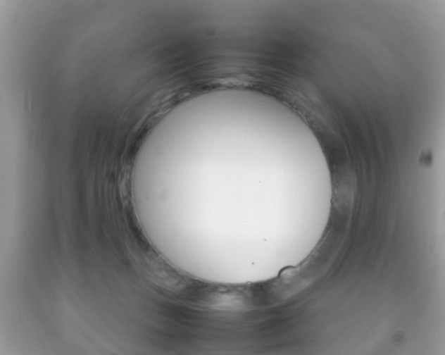 X0000092210175200709140908