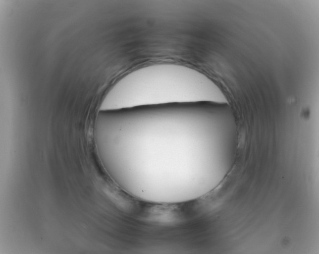 X0000092210179200709140908