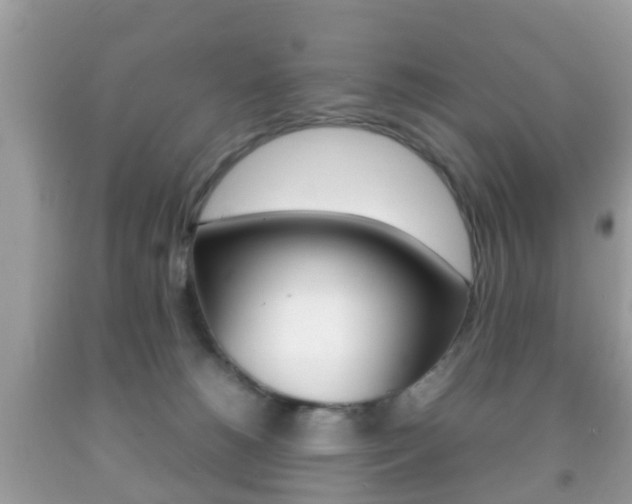 X0000092210180200709140908