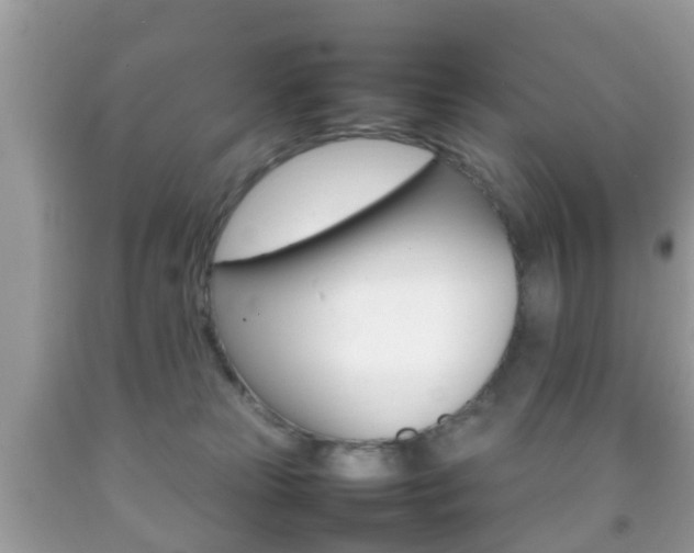 X0000092210181200709140908