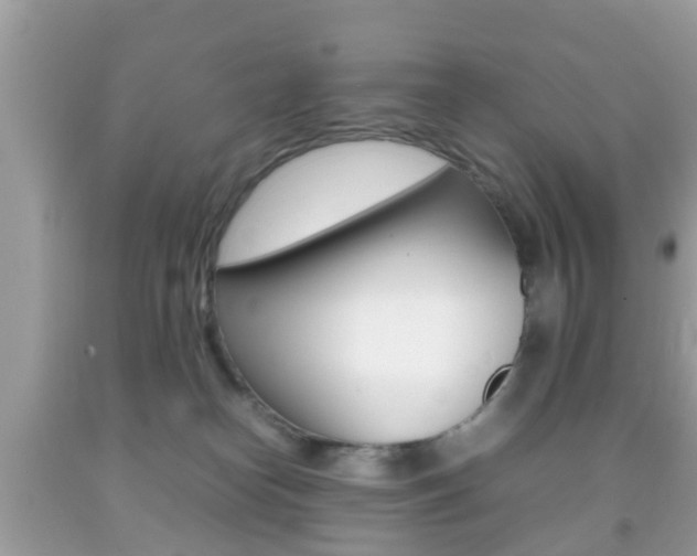 X0000092210182200709140908