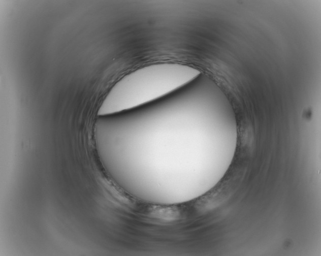 X0000092210185200709140908
