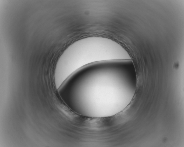 X0000092210186200709140908