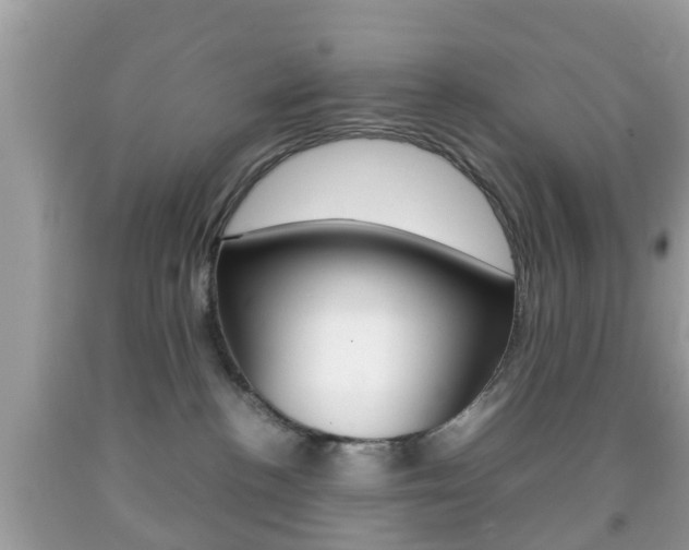 X0000092210188200709140908