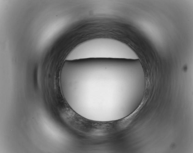 X0000092210191200709140908
