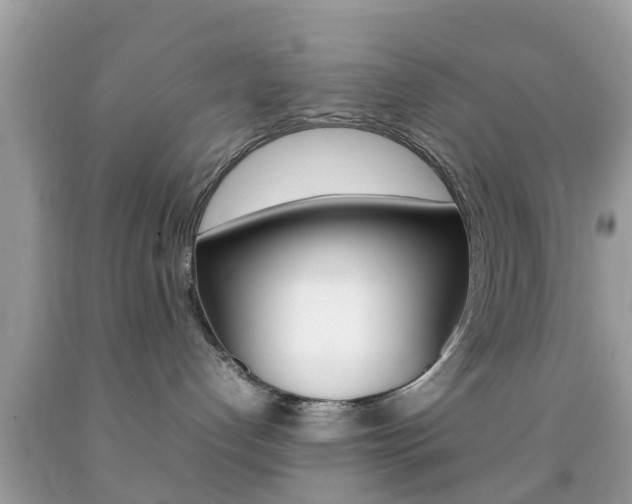 X0000092210192200709140909